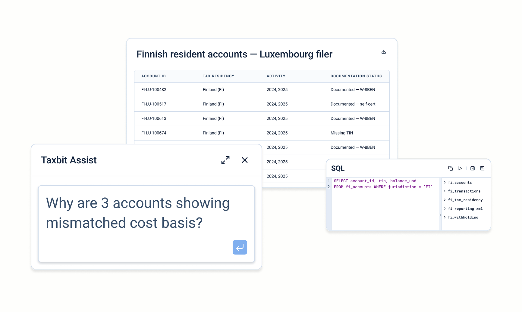 Taxbit AI - Custom Report Builder